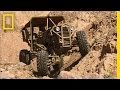 Operating the Mechanical Lizard