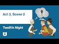 Character Motivations in Twelfth Night