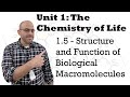 Biological Macromolecules and Proteins