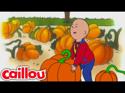 Pumpkin Patch Kid | Caillou - WildBrain | Learning for Children