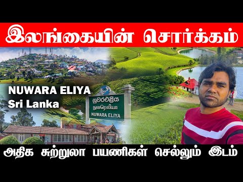 இலங்கையின் சொர்க்கம் நுவரெலியா | Best tourist place Nuwara Eliya | Tami travel vlog Nuwara Eliya