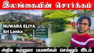 இலங்கையின் சொர்க்கம் நுவரெலியா | Best tourist place Nuwara Eliya | Tami travel vlog Nuwara Eliya