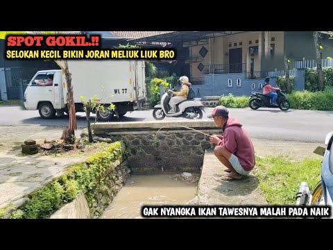 MANTUL.!! MANCING LELE DI GORONG GORONG PINGGIR JALAN RAYA || BENAR2 REJEKI IKAN TAWESNYA PADA NAIK