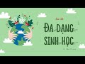 Đa dạng sinh học và vai trò của nó