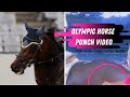 Modern Pentathlon Incident Analysis