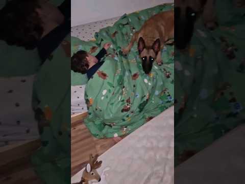 Quand ton chien surveille ton enfant