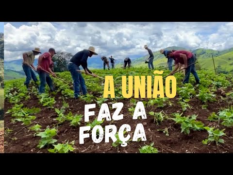 ENCONTRO DE ENXADAS - MUTIRÃO CONTRA O MATO DA ROÇA DE MILHO - FORÇAS REUNIDAS