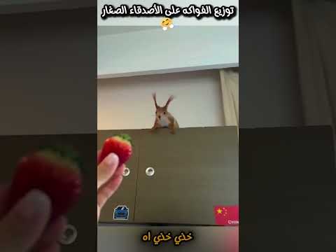 توزيع الفواكه على الأصدقاء الصغار. #shortsyoutube #ترند #اكسبلور #shortvideo