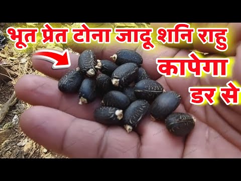 अब तुम नहीं भूत प्रेत, जादू टोना, शनि राहु तुमसे डरेगा //