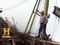 Challenges and Dynamics in Rygaard Logging