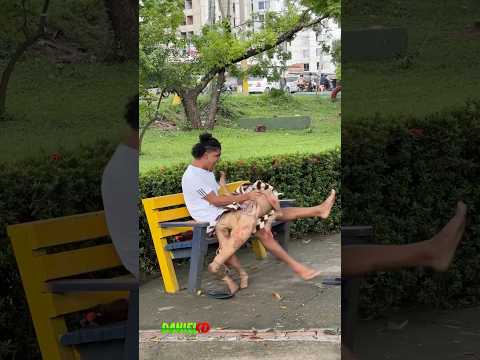 El zombie 🧟‍♀️ ￼ súper divertido 🤣🤣