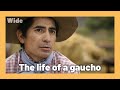 Gaucho Life and Work