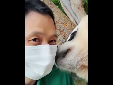 爷爷说疼,立马变亲亲,她什么都懂#大熊猫福宝#福宝#来这吸熊猫