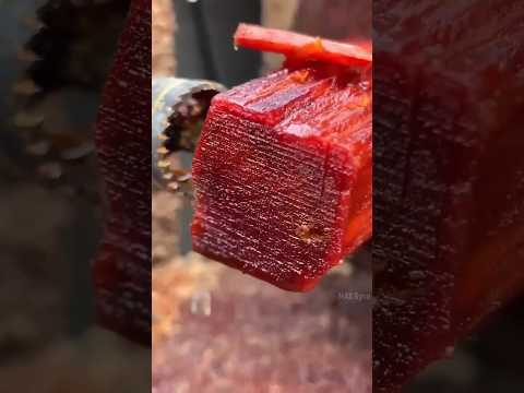 दुनिया की सबसे मज़बूत लकड़ी | Strongest Wood 🪓 By MAX Gyan
