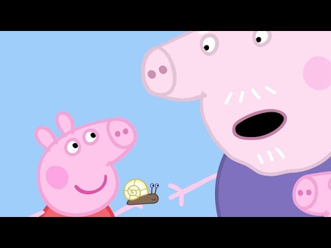 Peppa aprende sobre la jardinería | Peppa Pig en Español Episodios | Pepa la cerdita