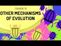 Polyploidy and Gene Flow Concepts