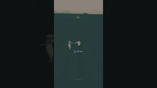 وسط الشوارع