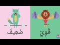 Concepts in Música Video