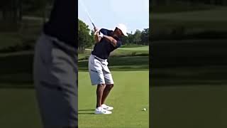 Tiger Woods' Stinger shot