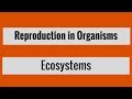Ecological Concepts and Processes
