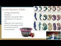 Environmental Science and Sustainability Concepts