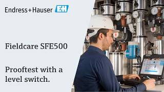 FieldCare SFE500 – Proof Test Wizard with Level Switch