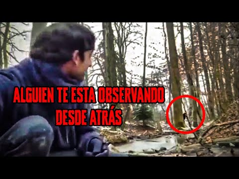 ENCUENTROS INQUIETANTES  ACAMPANDO EN EL BOSQUE