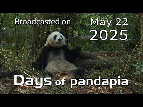 20250522 Broadcast Top Highlights 10