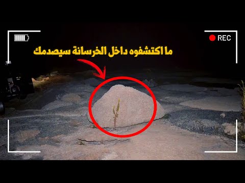 وثائقي تحقيقات جرائم القتل.. جريمة بشعة لا يتصورها العقل لسمسار اختفى في ظروف غامضة