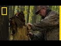 Mushroom Foraging and Market Insights