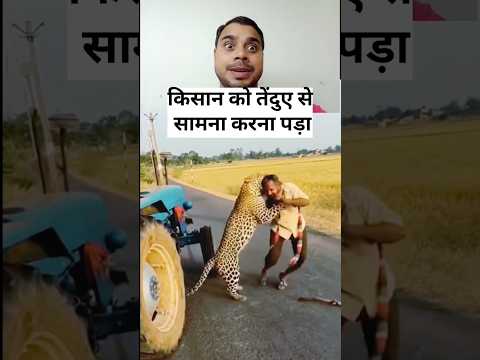 ट्रैक्टर चालक पर तेंदुए का हमला #fypviralシ #animals #animallife #funny #aileopard #ai #driver