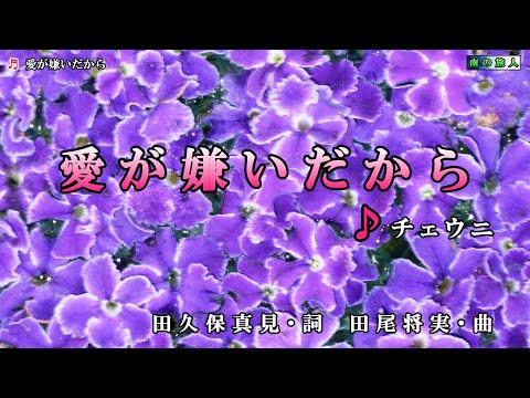 チェウニ【愛が嫌いだから】カラオケ