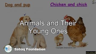 Animals and Their Young Ones