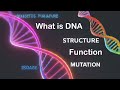 DNA Structure and Function Concepts