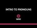 Understanding Pronouns and Antecedents