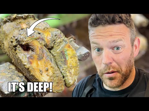 we got CANCELLED ... & there's a HOLE in this cow's foot!! | BTH 36