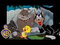 Character Emotions and Events Analysis