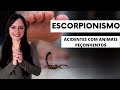 Scorpion Sting Treatment and Prevention