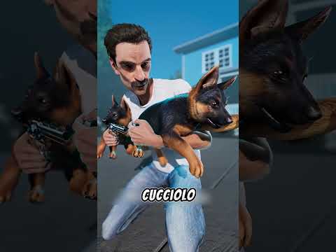 IL CUCCIOLO DI CANE SI È SALVATO DAVVERO PER UN PELO