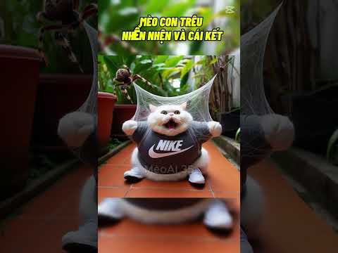Chú mèo trêu NHỆN #youtubeshorts #ai #cat #cutecat #funnycats