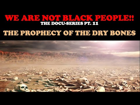 WE ARE NOT BLACK PEOPLE (DOCU- SERIES PT. 11) THE PROPHECY OF THE DRY BONES