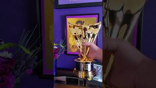 We Won!! Opening our World Entertainment Awards Award!!