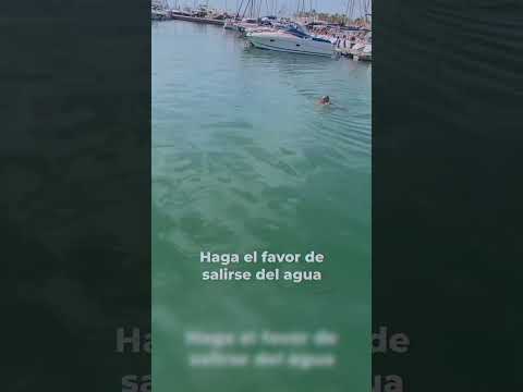 Puerto de Benalmádena, un señor nadando al que le dicen amablemente que se salga. #shorts
