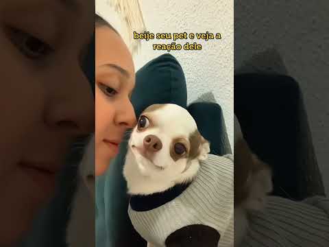 Dogs love owner #doglife