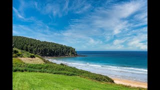 🌊 Drift Into Sleep LIVE: Ocean Waves & Birdsong | Natural Sounds for Deep Sleep, Calm & Relaxation