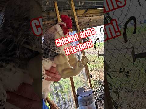 Your wish is my command! ๐
๐
Chicken arms it is! #chickenarms #3dprinter #3dprint #chickens #chicken