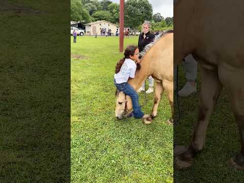 My horse friend##horse #fyp #pov #pet #funny #foryou