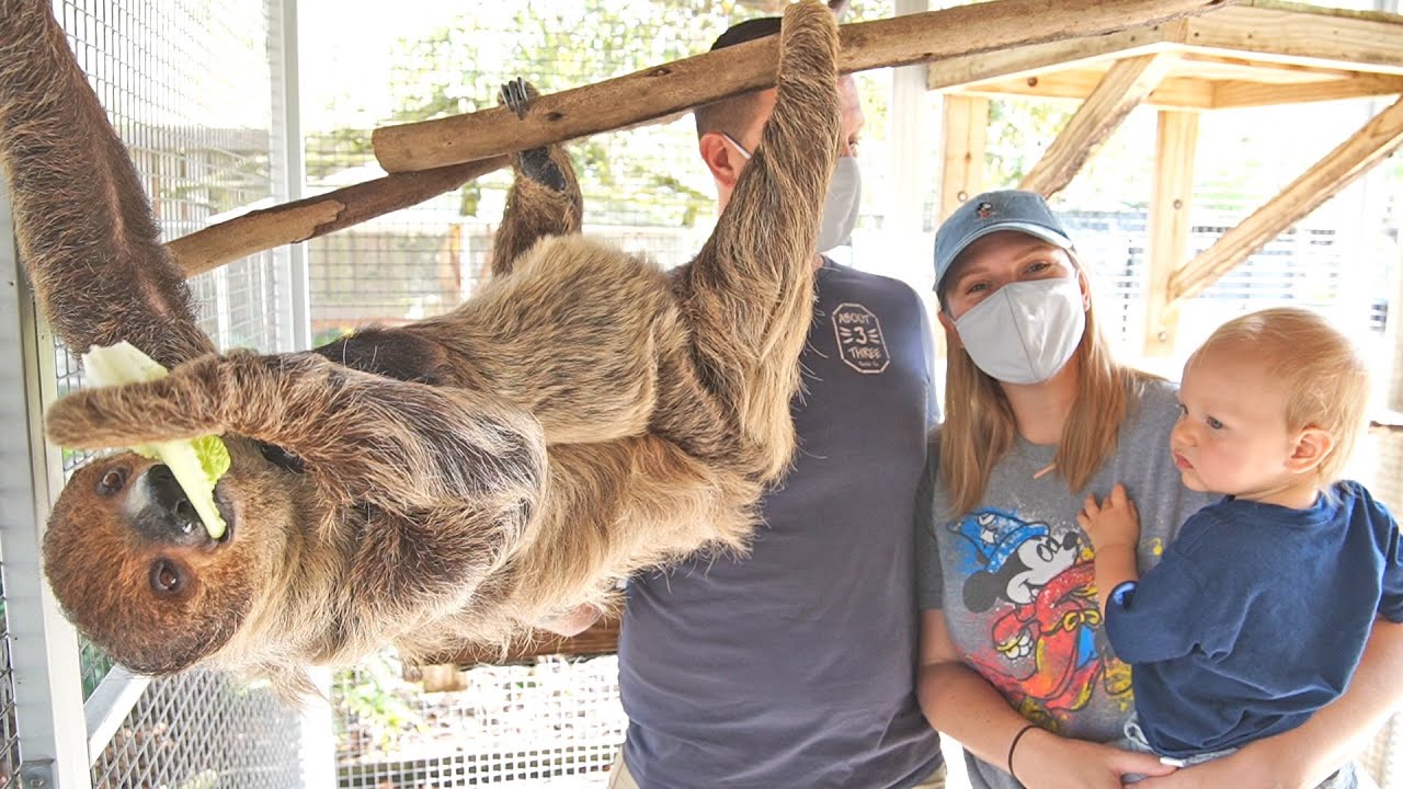 We Went To An Exotic Animal Sanctuary! Cute Baby Animals & Fun Facts At Amazing Animals! The Tim Tracker