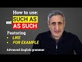 Understanding 'Such As' and 'As Such'