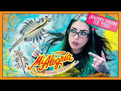 DRAGONES ACUÁTICOS ¿Realmente funciona este pedul?
